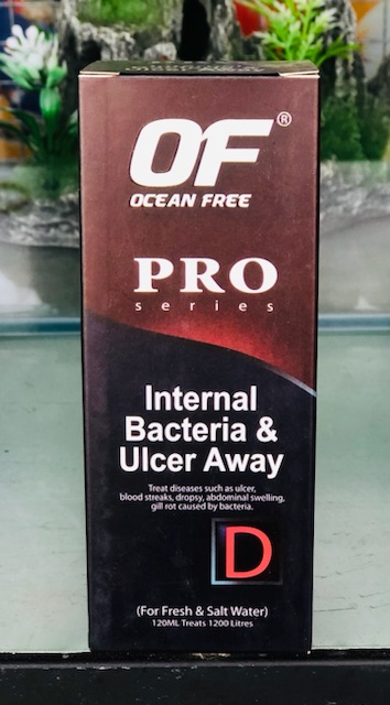 OF Pro-D (120ml) Thuốc Đặt trị xù vảy cá rồng