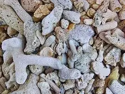 San Hô Vụn (8kg) Vật Liệu Lọc Nước