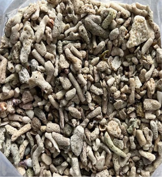 San Hô Vụn (Tải) Vật Liệu Lọc Nước