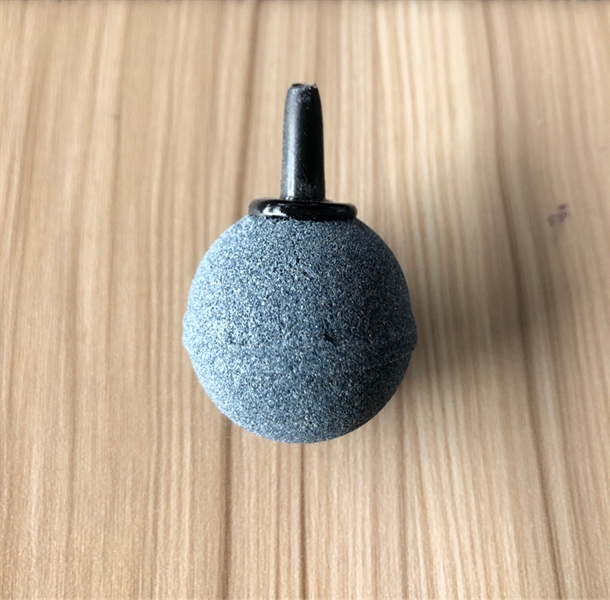 Sủi Banh Xám Lớn