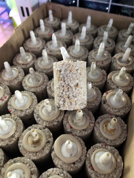 Sủi Mè Trắng (Hộp)