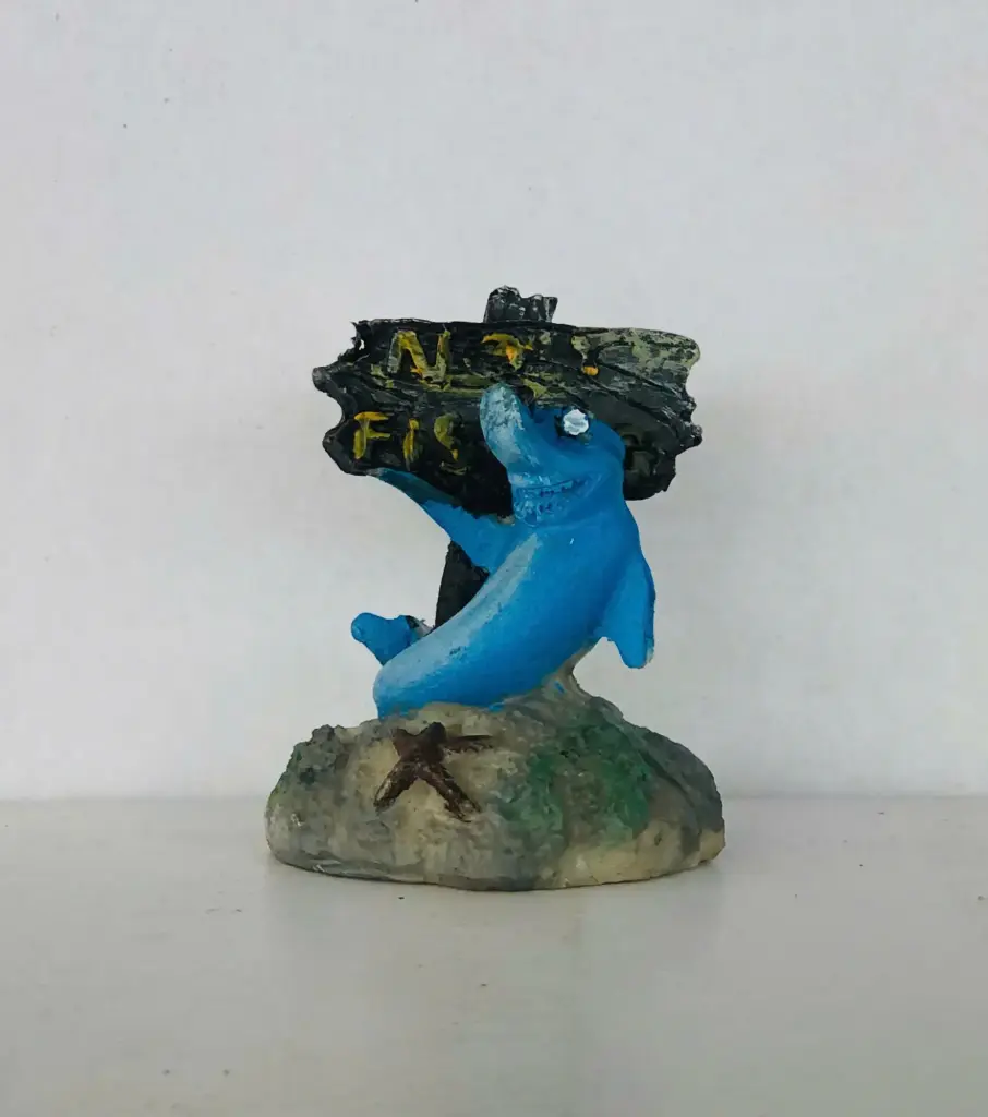 Trang Trí - Neo Cá Heo