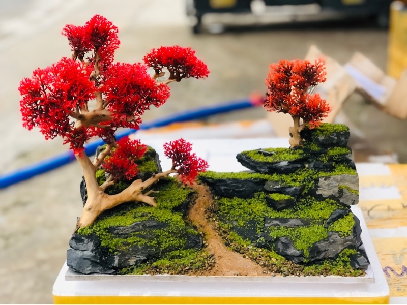 Trang Trí - Tiểu Cảnh Bonsai (30cm)