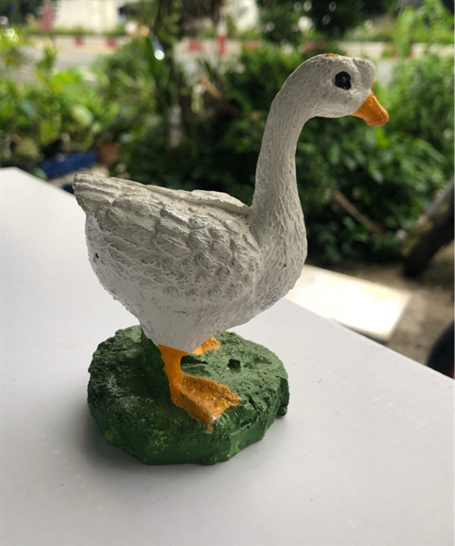 Trang Trí Hồ Cá - Non Bộ (Ngổng Lớn)