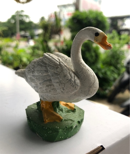 Trang Trí Hồ Cá - Non Bộ (Ngổng Nhỏ)