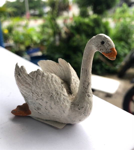 Trang Trí Hồ Cá - Non Bộ (Thiên Nga Lớn)