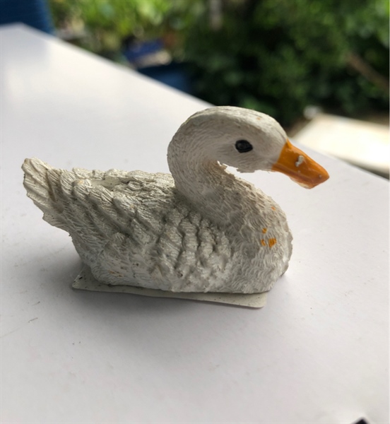 Trang Trí Hồ Cá - Non Bộ (Thiên Nga Nhỏ)