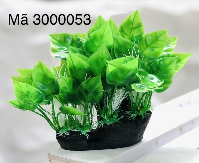 Trang Trí Rong Giả - Mã 3000053