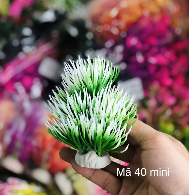 Trang Trí Rong Giả - Mã 40 Mini
