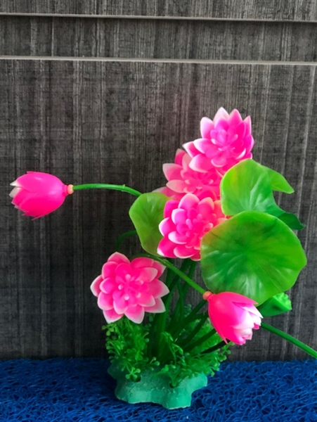 Trang Trí Rong Giả - Mã 8429