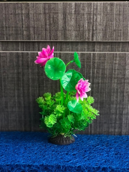 Trang Trí Rong Giả - Mã D5