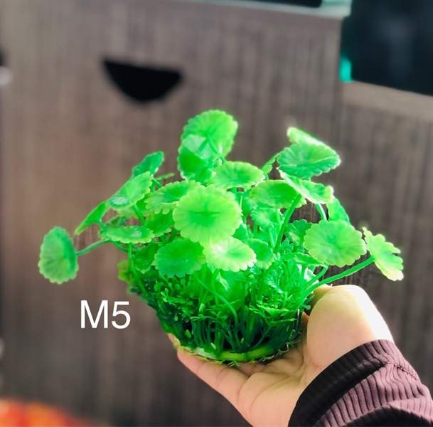 Trang Trí Rong Giả - Mã M5