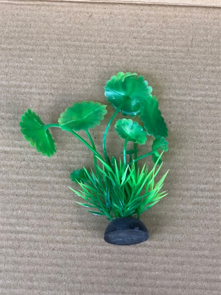 Trang Trí Rong Giả - Mã P3 Mini