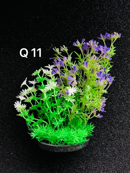 Trang Trí Rong Giả - Mã Q11