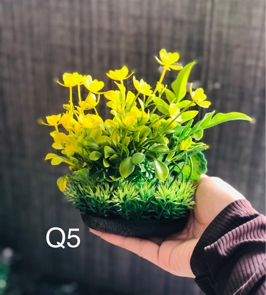 Trang Trí Rong Giả - Mã Q5