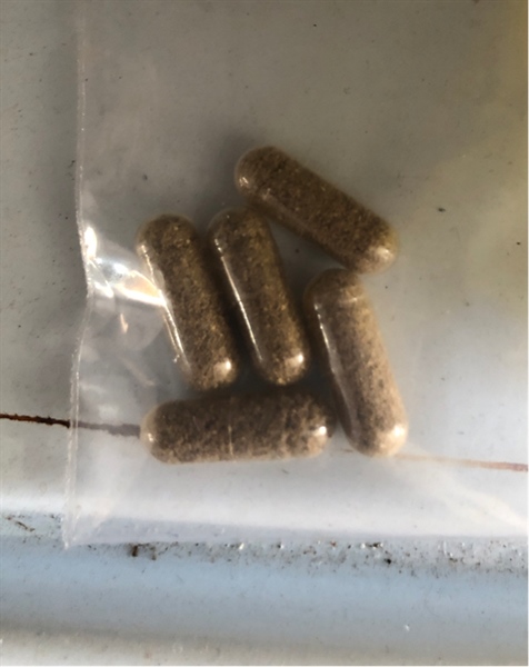 Trứng Artemia Nước Ngọt (Túi)