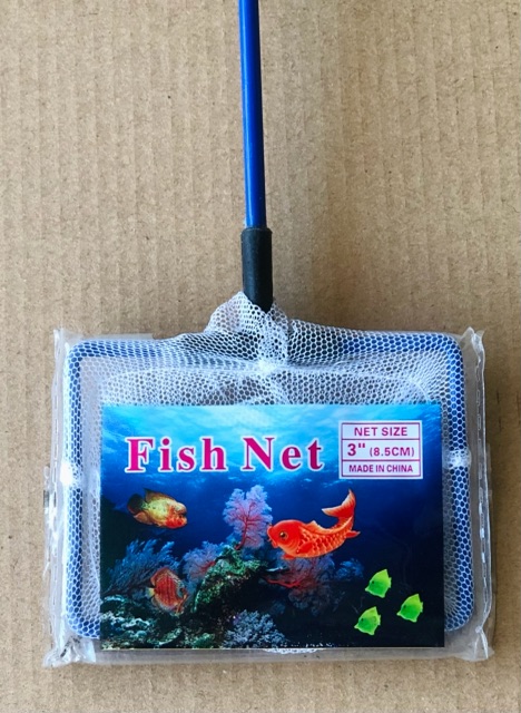 Vợt Vuông Số 3 (8.5cm) Cán Xanh