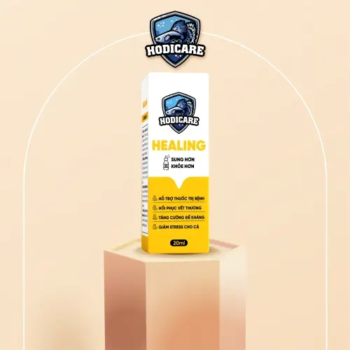 Hodicare Healing (20ml) Thuốc Trị Bệnh, Phục Hồi Vết Thương 