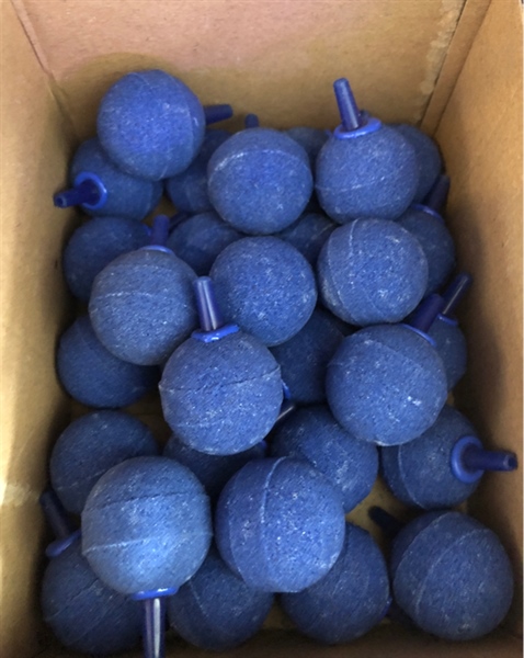 Sủi Banh Xanh (Hộp)