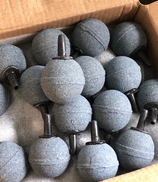 Sủi Banh Xám Lớn (hộp)