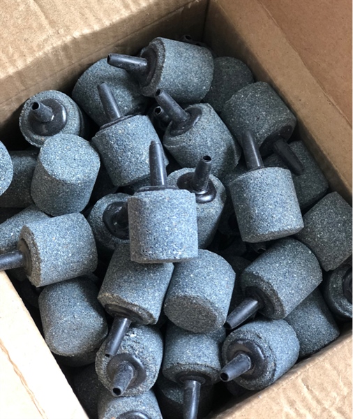 Sủi Xám Nhỏ (Túi)