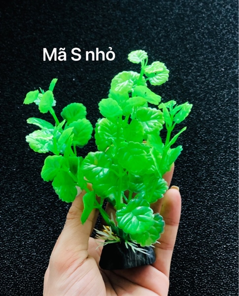 Trang Trí Rong Giả - Mã S4