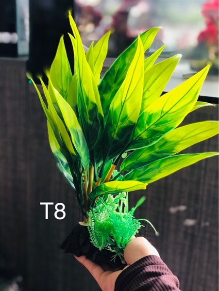 Trang Trí Rong Giả - Mã T8