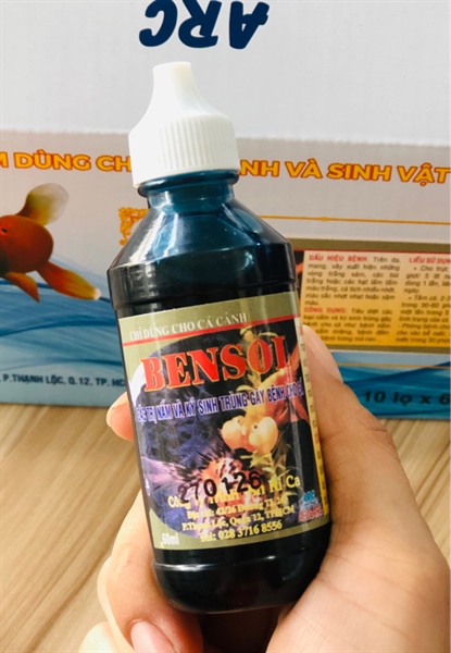 BENSOL (60ml) Thuốc đặt trị nấm và ký sinh trùng gây bệnh cho cá