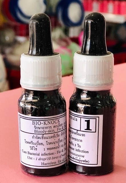 Bio Knock (1) Thuốc Trị Túm Lắc
