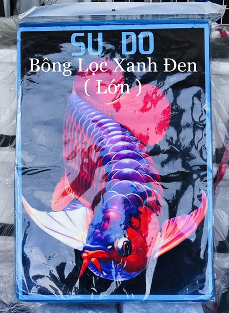 [HCH] Bông Lọc Xanh Đen 2 Lớp 29.5x45x3.5cm