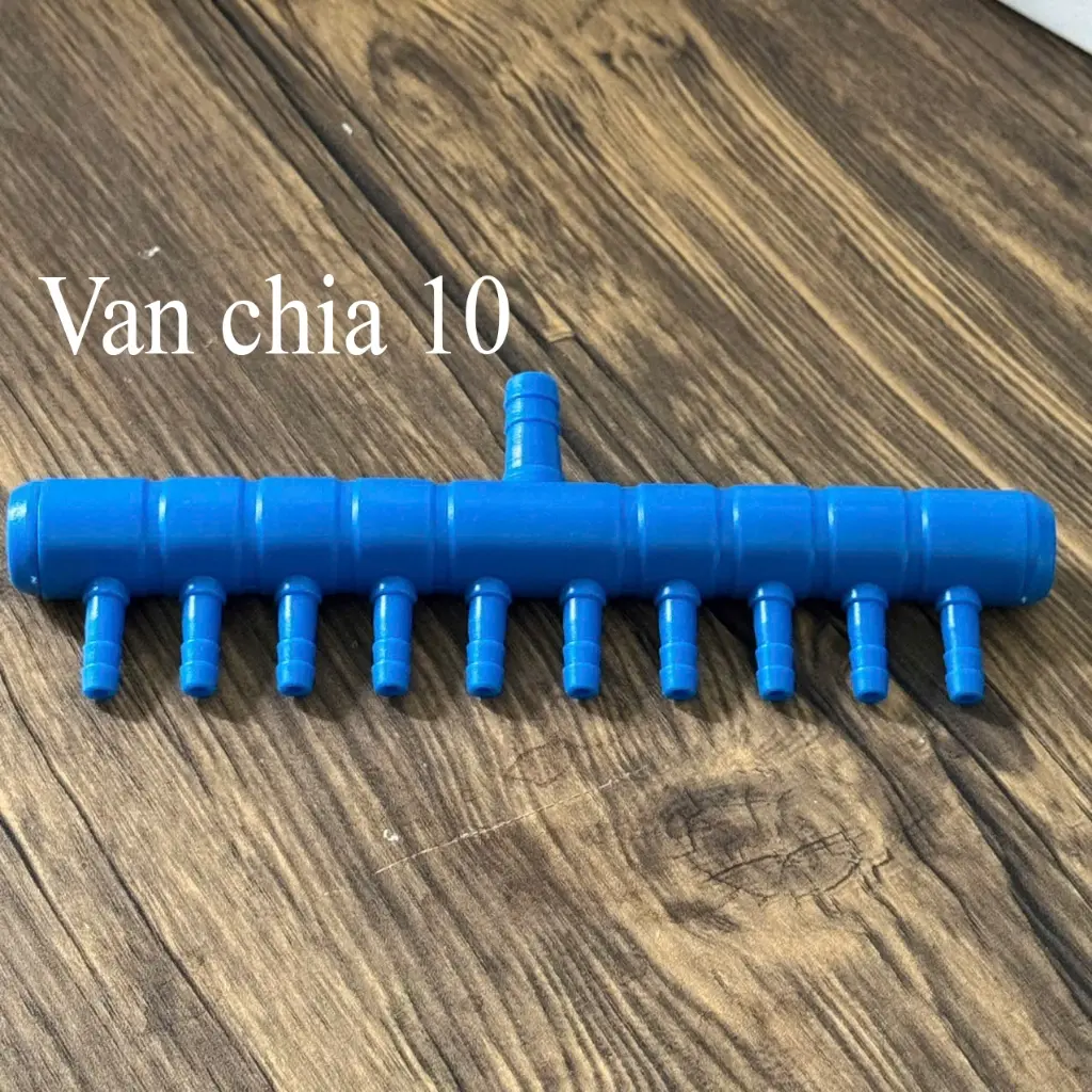 Bồ Cào Chia Oxi (10 Vòi)