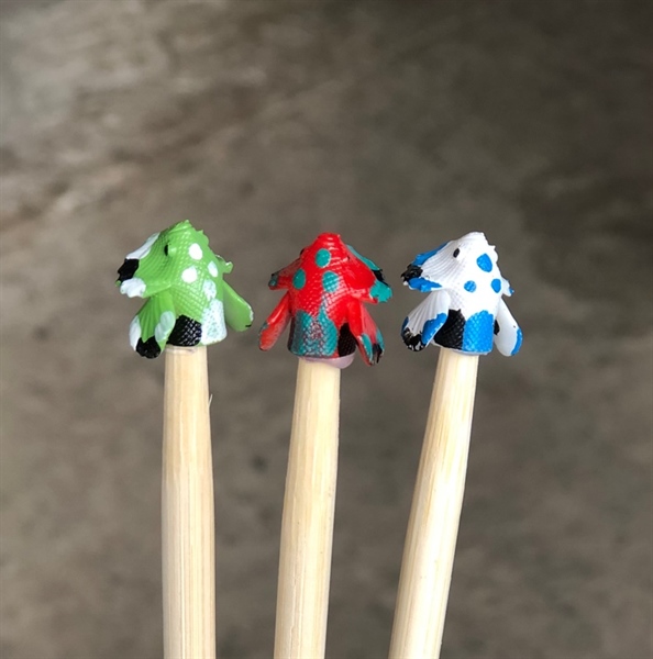 Cây Kè Cá Betta (Tốt)