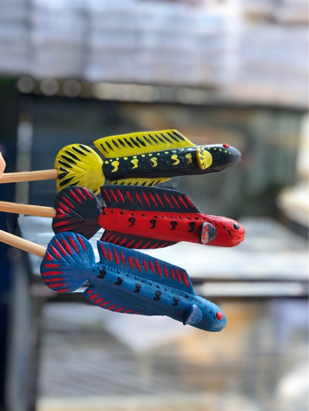 Cây Kè Cá Lóc (Tốt)