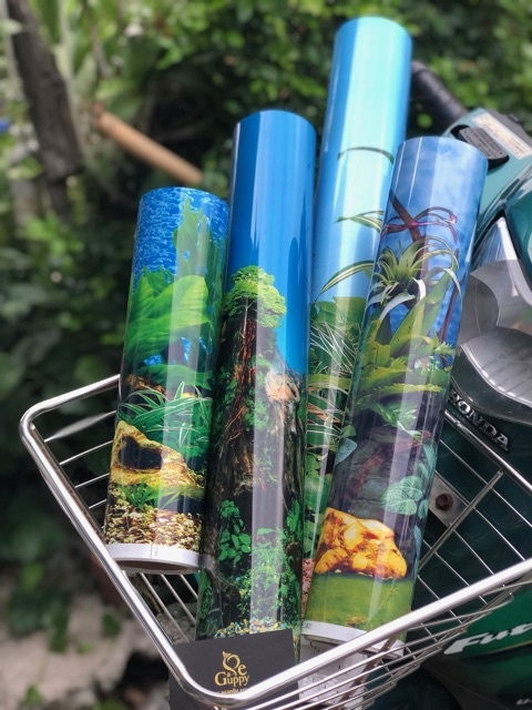 Decan Tranh 3D - Cao 30cm (cuồn)