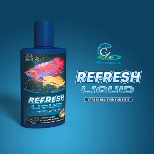 [THUOC.00027] Refresh Liquid (100ml) Thuốc dưỡng cá, tăng khả năng phục hồi, giảm stress 