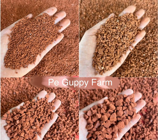 [TRATRI.00451] [HCH] Sạn Gốm (1kg)