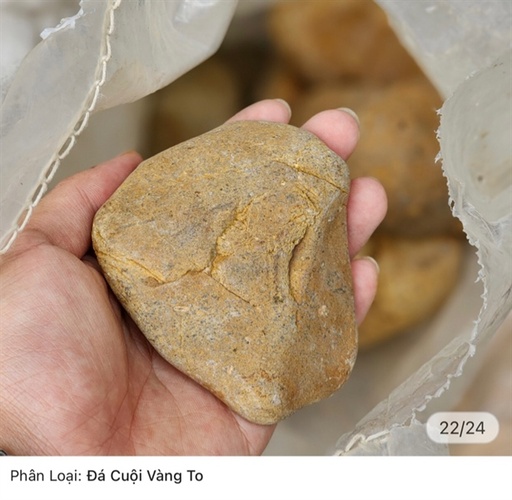 [TRATRI.00153.SDCVT] Sỏi Đá Cuội Viên To