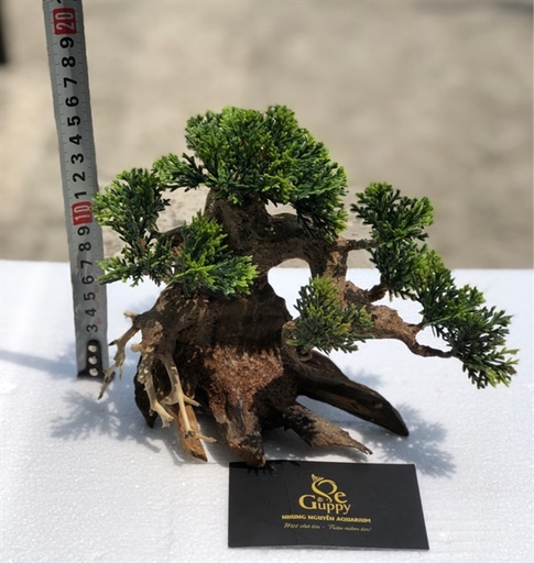 [TRATRI.00072] Trang Trí - Lũa Bonsai Gắn Rêu 1