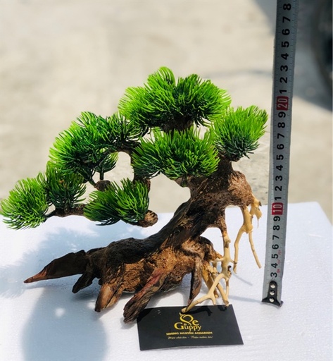 [TRATRI.00073] Trang Trí - Lũa Bonsai Gắn Rêu 2
