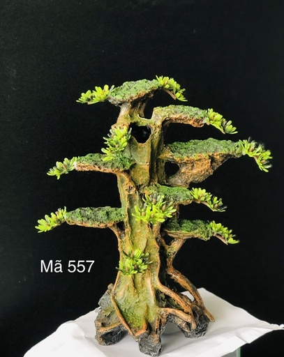 [TRATRI.00164] Trang Trí - Mã 557