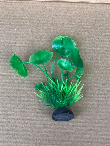 [TRATRI.00112] Trang Trí Rong Giả - Mã P3 Mini