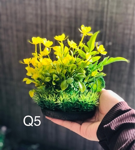 [TRATRI.00116] Trang Trí Rong Giả - Mã Q5