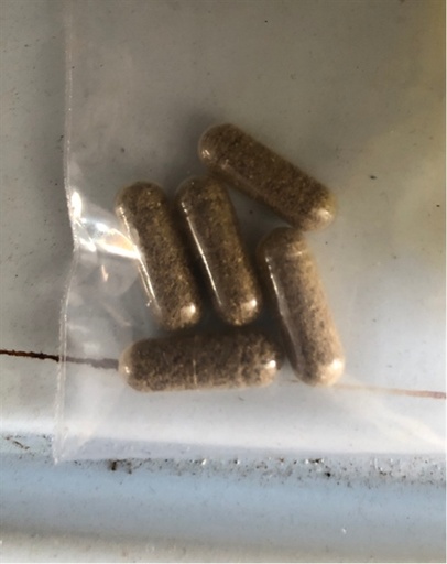 [THAN.00181] Trứng Artemia Nước Ngọt (Túi)