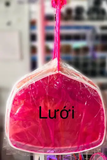 [PHKI.00299] Vợt Đại 10 (Lưới)