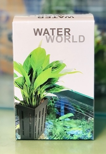 [PGF.PHKI.00336] WATER WORLD Giỏ Trồng Cây Gác Thành Hồ