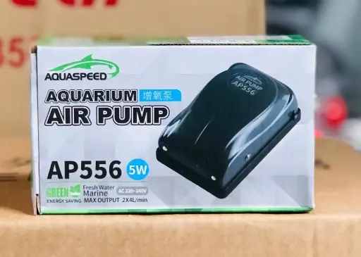 [OXI.00057.AP556] Aquaspeed AP-556 5W Máy Oxi 2 vòi 