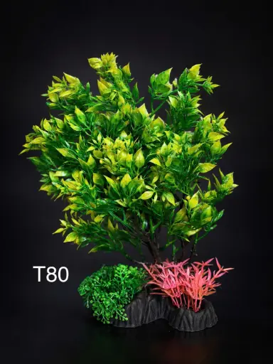 [TRATRI.00483] Cây Giả Mã T80 Trang trí bể cá/tiểu cảnh