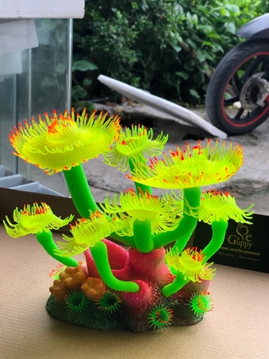 [PGF.TRATRI.00032] Cây Giả Hải Quỳ (Mã E Lớn)