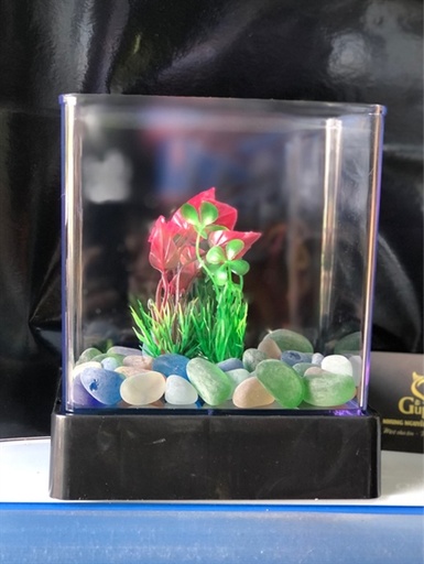 [PGF.HOKHA.00007] Hồ Cá Betta Nhựa Mica (hộp giấy)