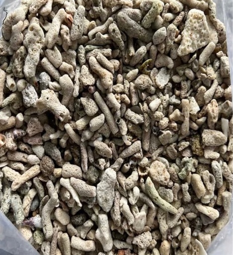[PGF.VLLOC.00009] San Hô Vụn (1kg) Vật Liệu Lọc Nước